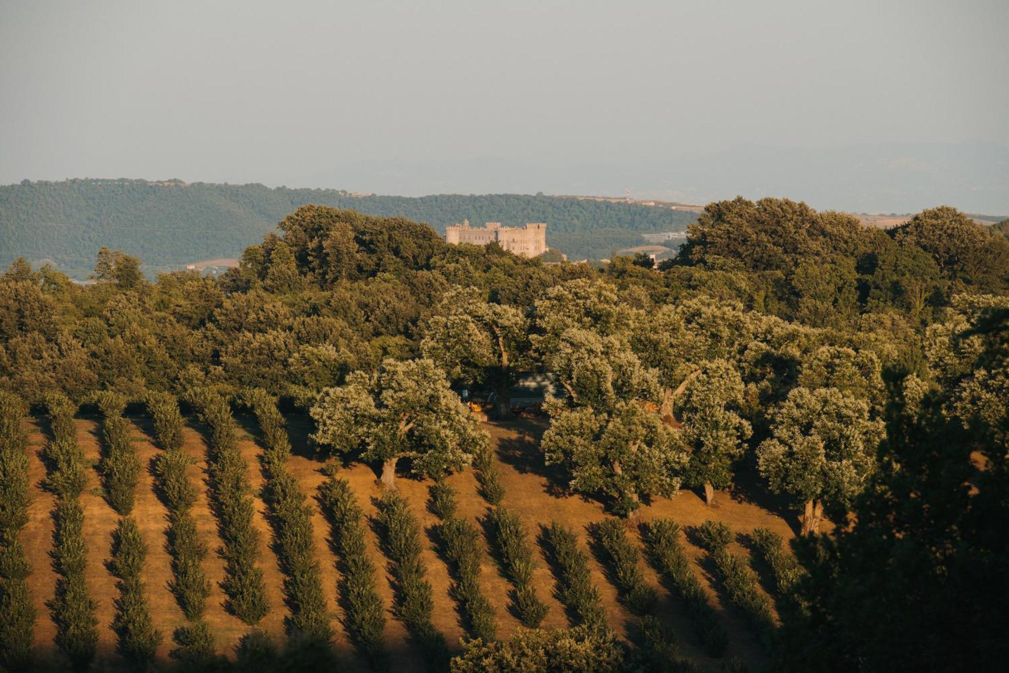 Villa Clodia Relais Manziana Экстерьер фото